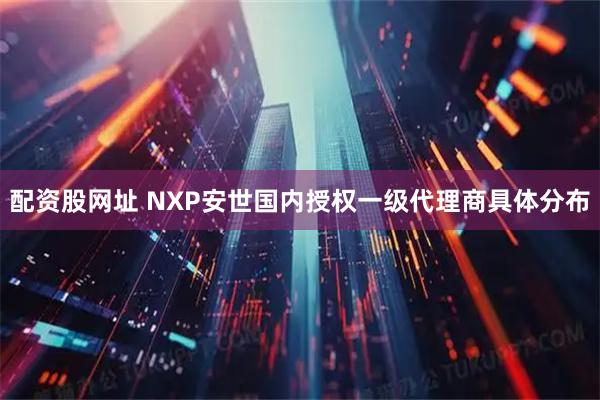 配资股网址 NXP安世国内授权一级代理商具体分布